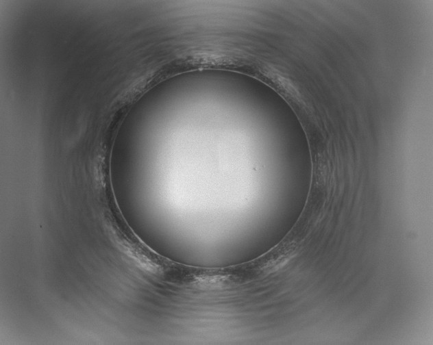 X0000073470450200608111540