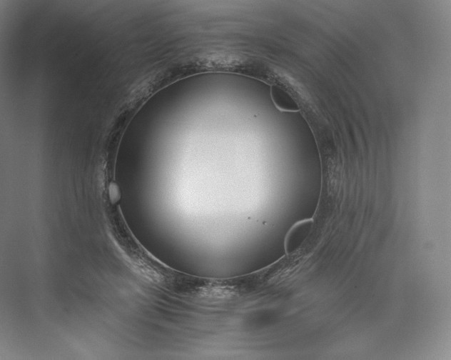 X0000073470451200608111540