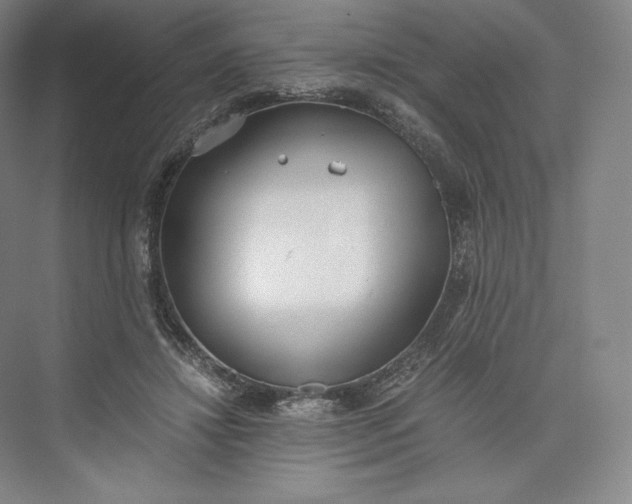 X0000073470452200608111540