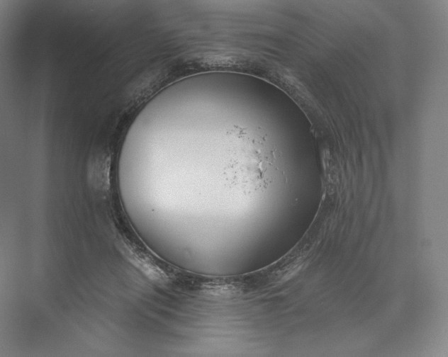 X0000073470454200608111540