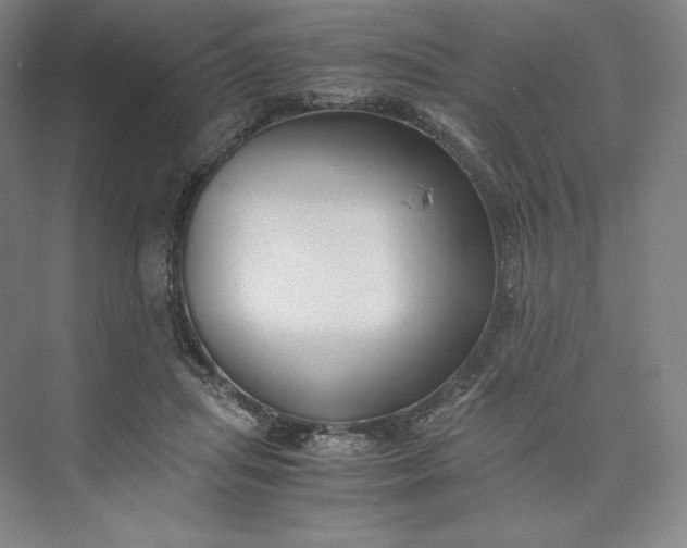 X0000073470455200608111540