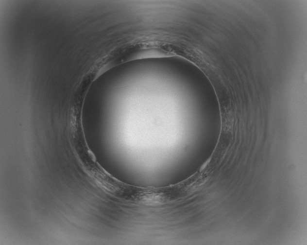 X0000073470456200608111540