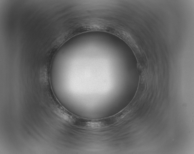 X0000073470457200608111540