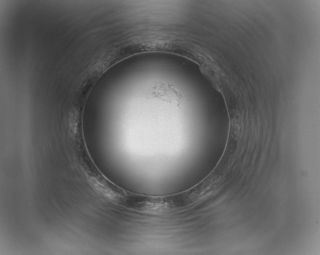 X0000073470458200608111540