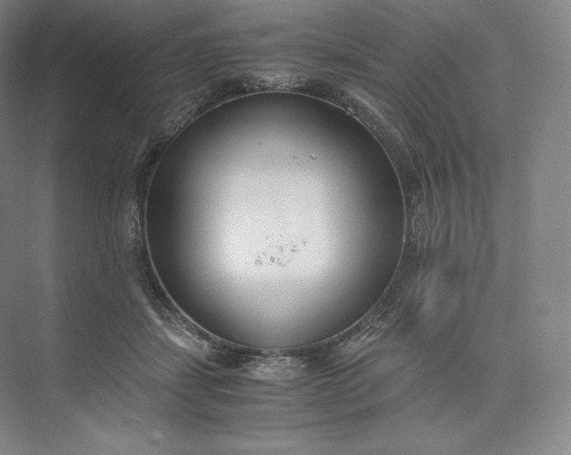 X0000073470459200608111540