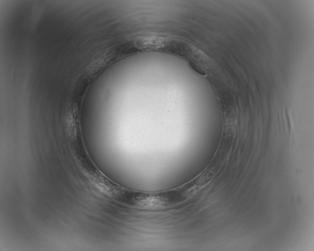 X0000073470460200608111540