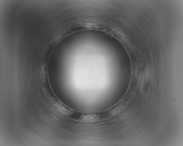 X0000073470461200608111540