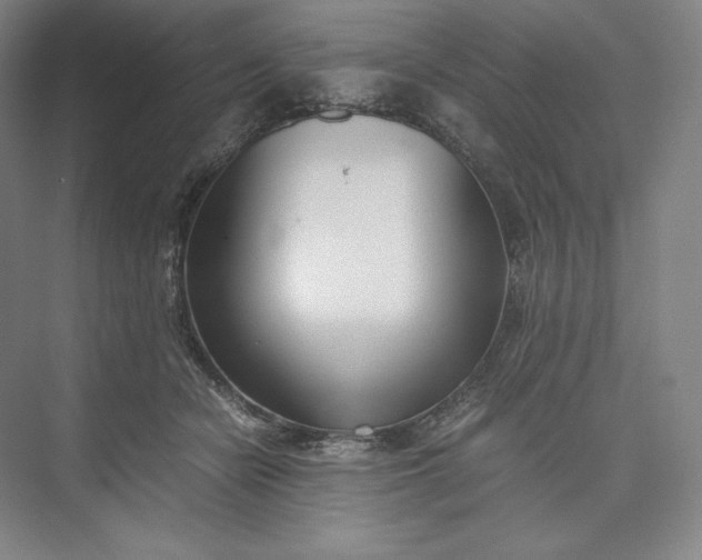 X0000073470462200608111540