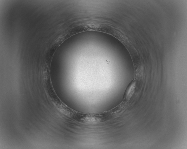 X0000073470464200608111540