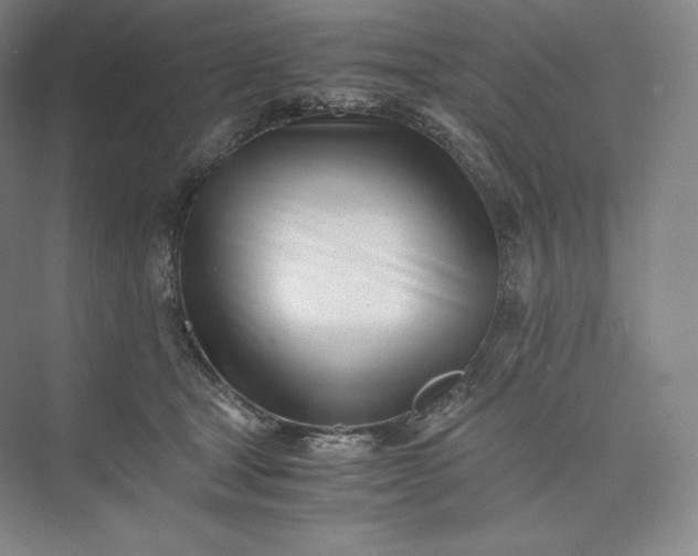 X0000073470465200608111540