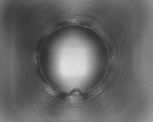 X0000073470466200608111540