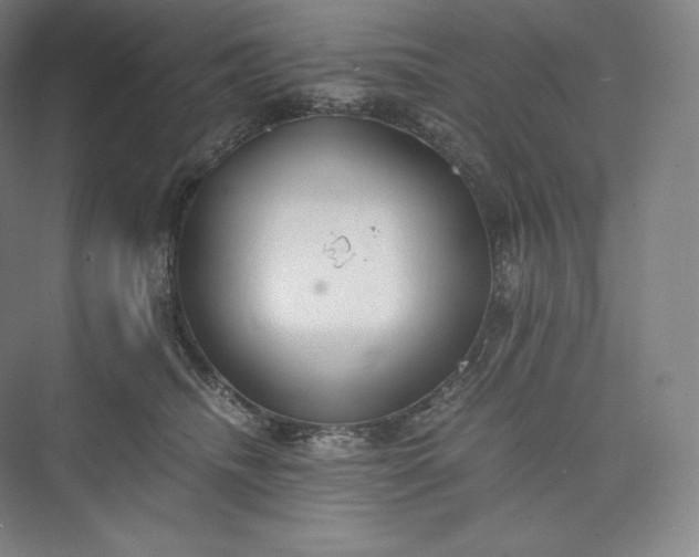 X0000073470468200608111540