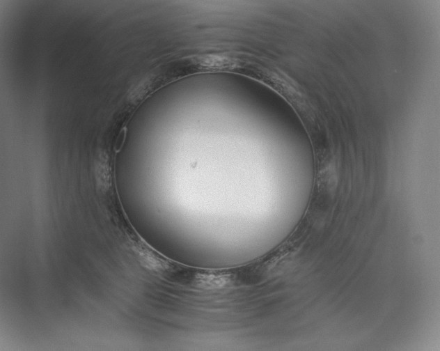 X0000073470469200608111540