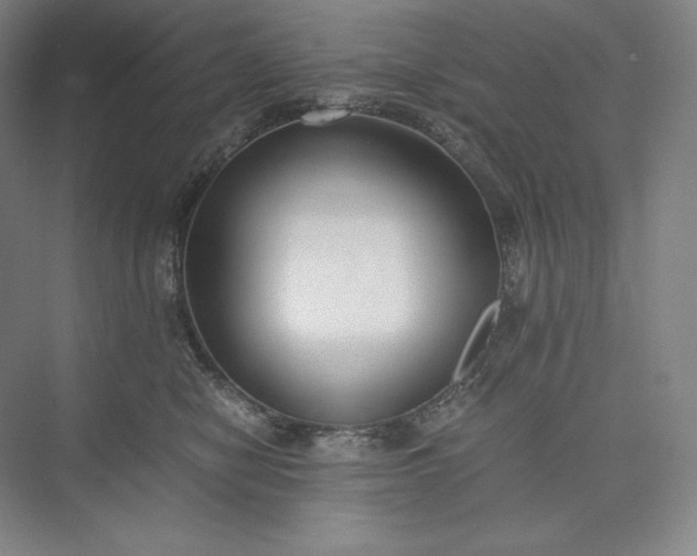 X0000073470470200608111541