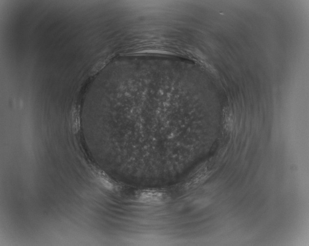 X0000073470471200608111541