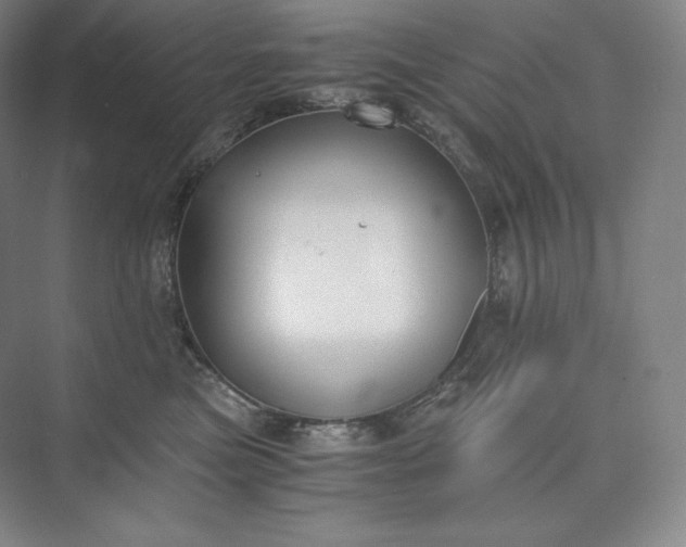 X0000073470473200608111541