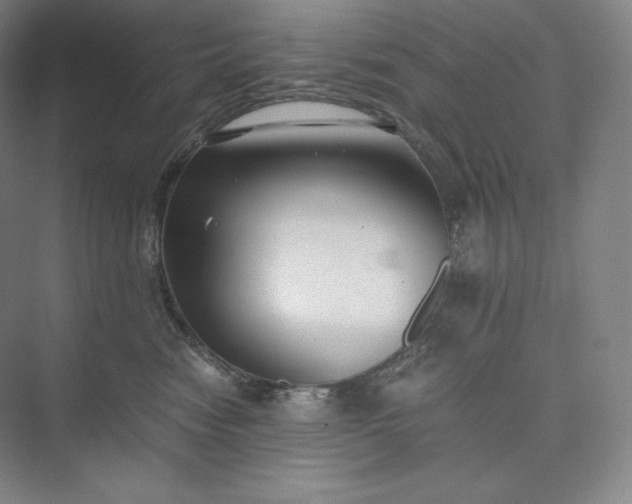 X0000073470474200608111541