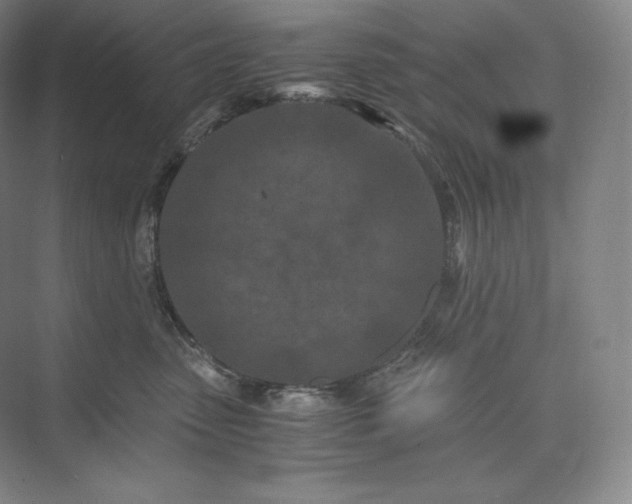 X0000073470475200608111541