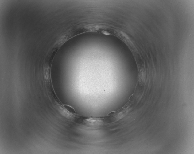 X0000073470477200608111541