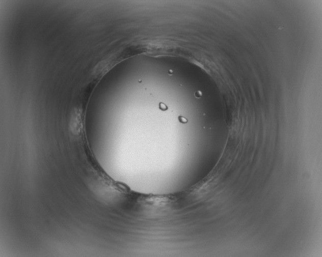 X0000073470478200608111541