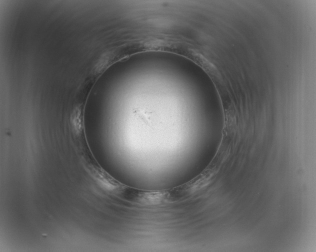 X0000073470479200608111541