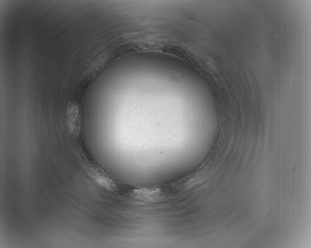 X0000073470480200608111541