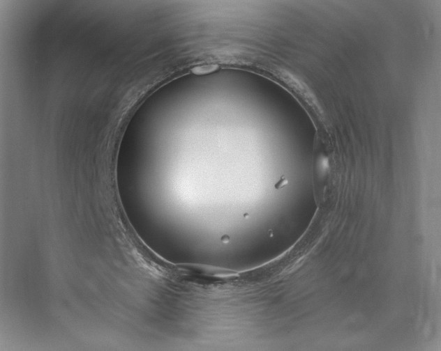 X0000073470481200608111540