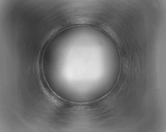 X0000073470482200608111540