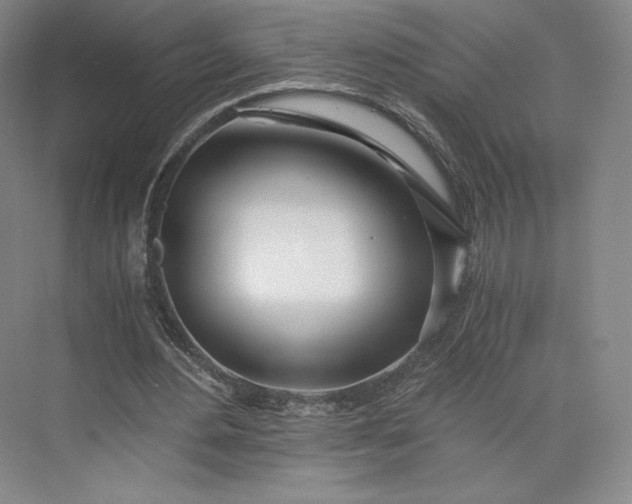 X0000073470484200608111540