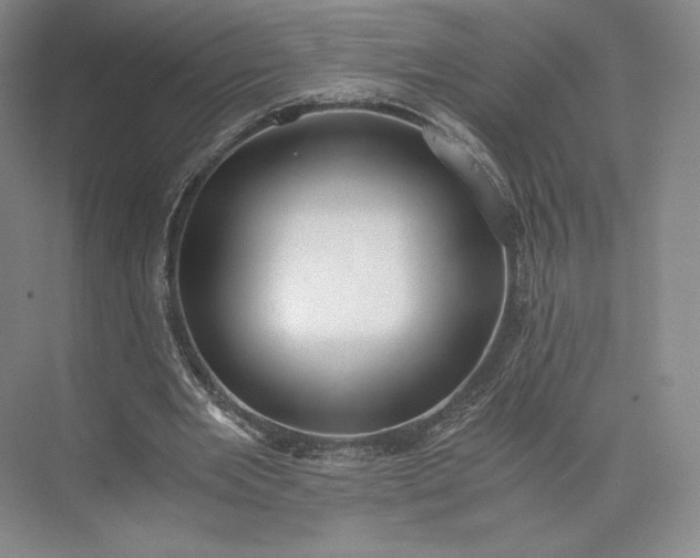 X0000073470485200608111540