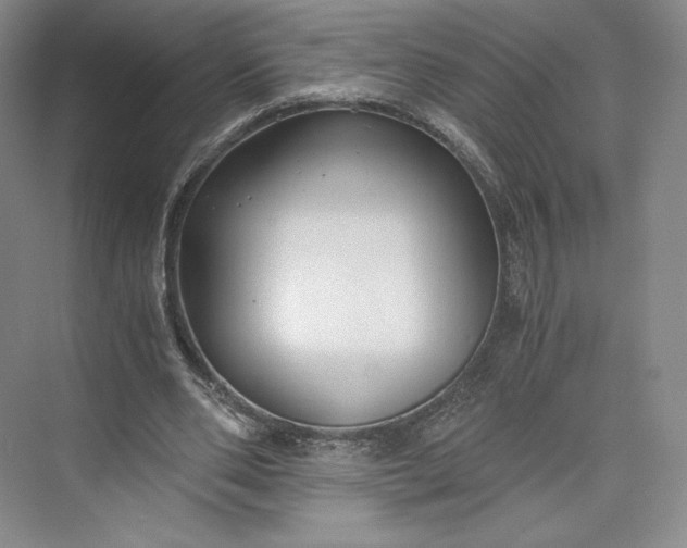 X0000073470486200608111540