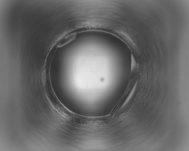 X0000073470488200608111540