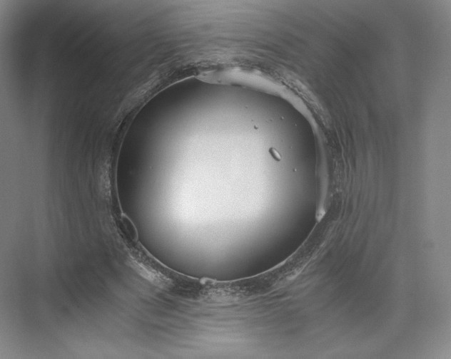 X0000073470489200608111540