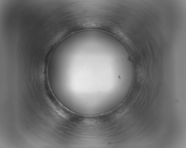 X0000073470490200608111540