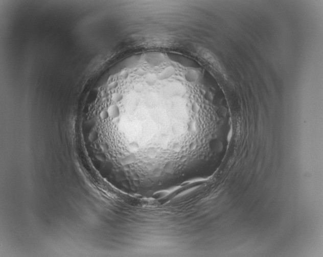 X0000073470491200608111540