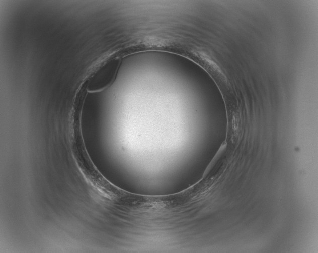 X0000073470492200608111540