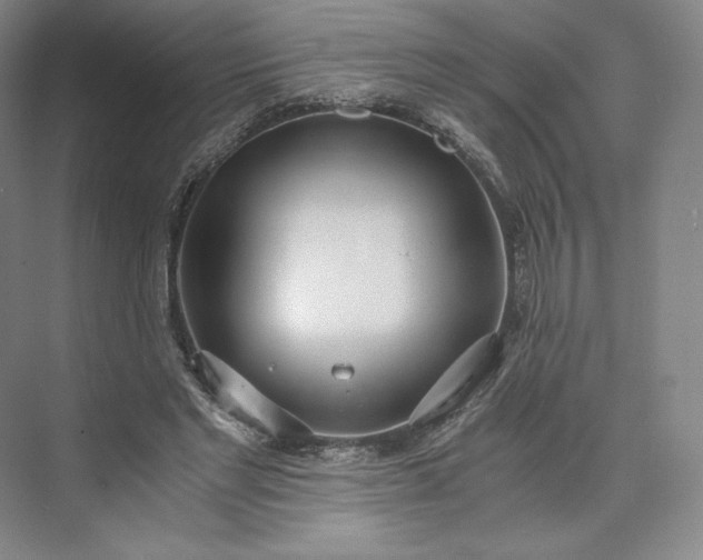 X0000073470493200608111540