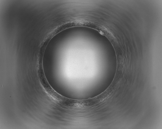 X0000073470496200608111540