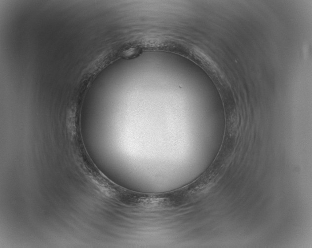 X0000073470497200608111540