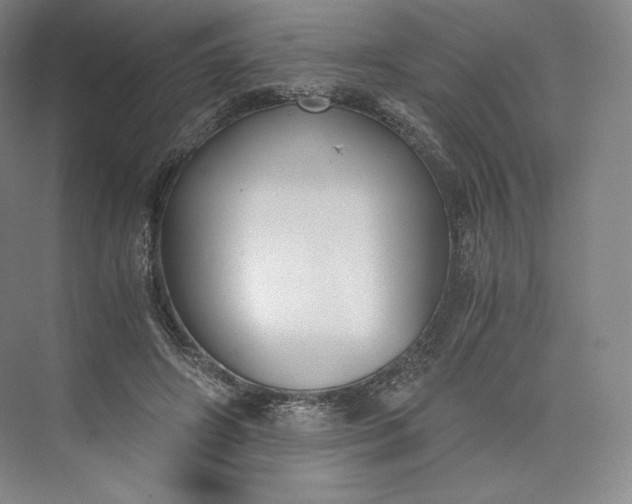 X0000073470498200608111540