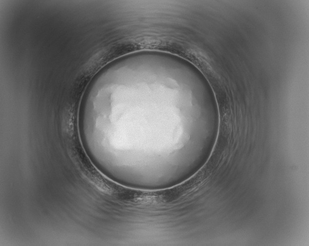 X0000073470499200608111540