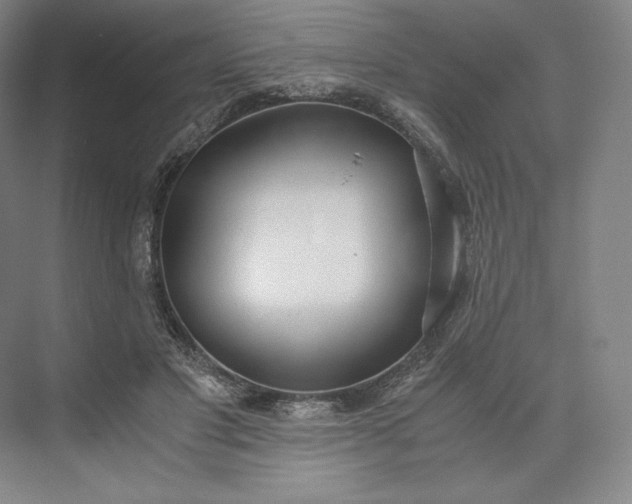 X0000073470501200608111540