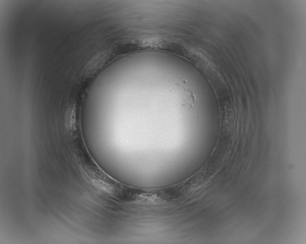 X0000073470502200608111540