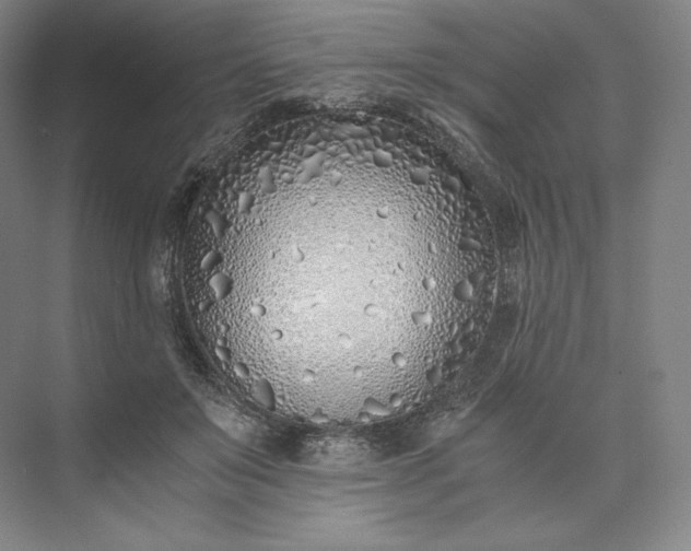 X0000073470503200608111539