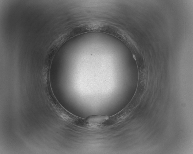 X0000073470505200608111539