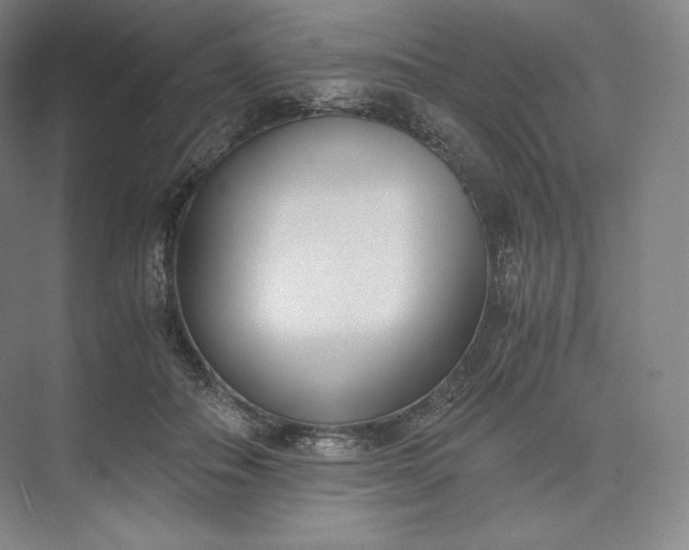 X0000073470506200608111539