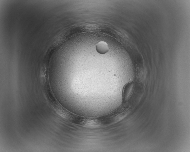 X0000073470507200608111539