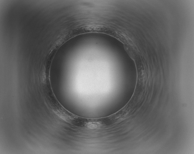 X0000073470508200608111539