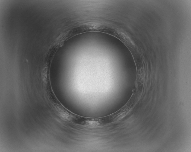 X0000073470509200608111539