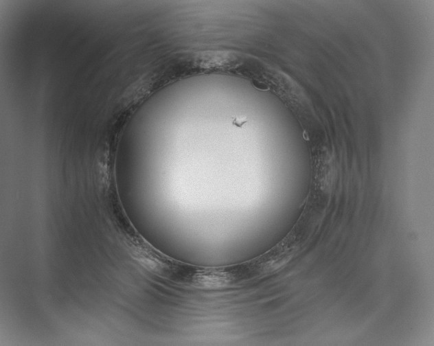 X0000073470510200608111539